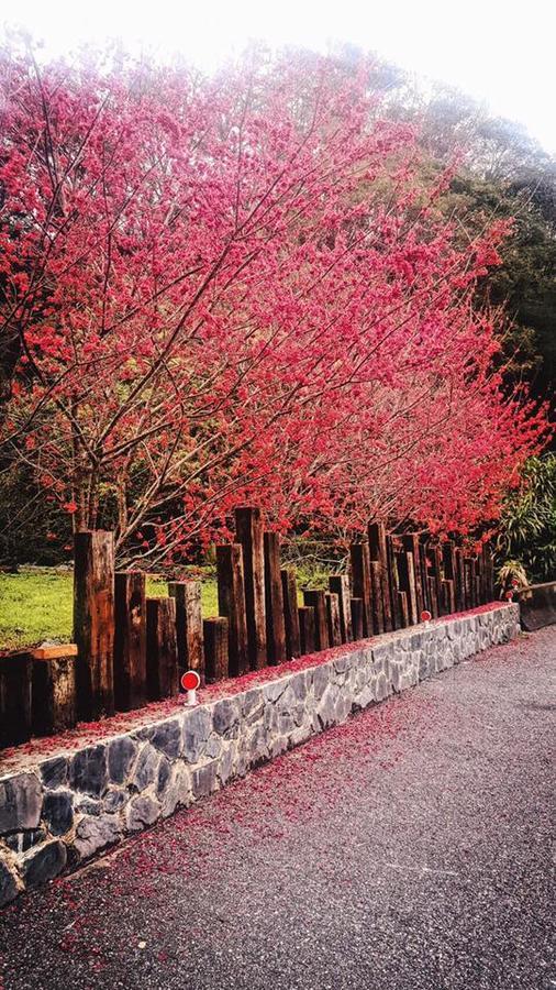 Taroko Formosa Homestay Xiulin Ngoại thất bức ảnh