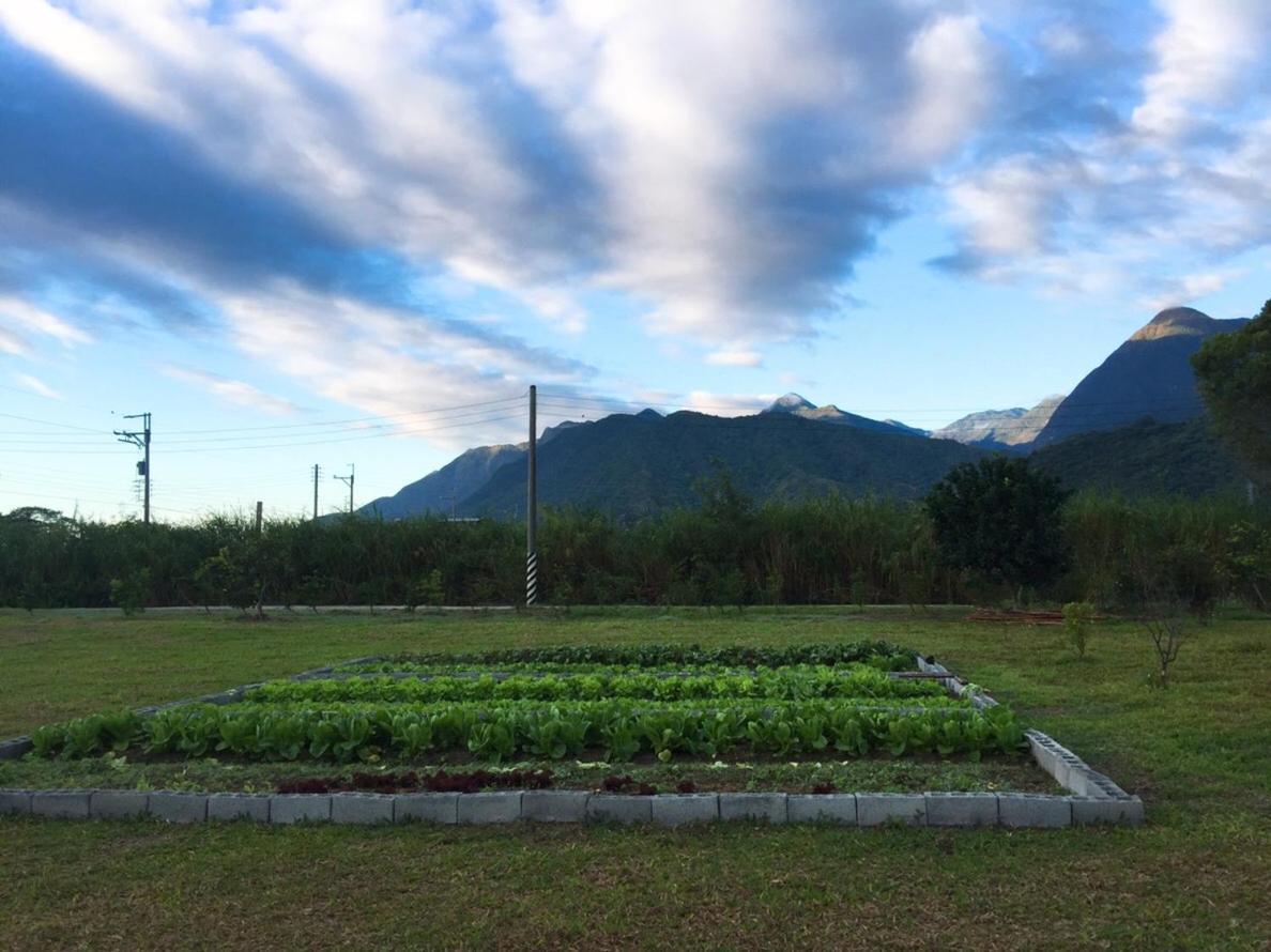 Taroko Formosa Homestay Xiulin Ngoại thất bức ảnh