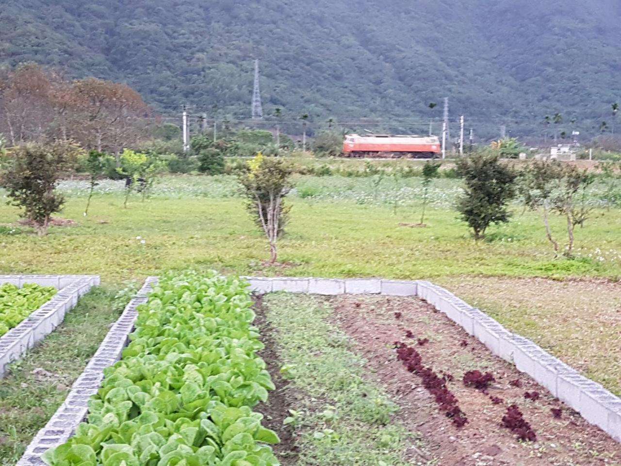Taroko Formosa Homestay Xiulin Ngoại thất bức ảnh
